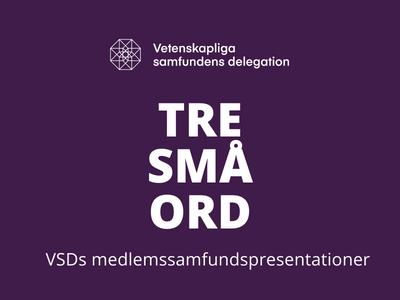 Text "Tre små ord - VSDs medlemssamfundspresentationer".