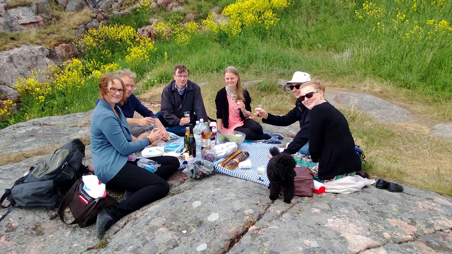 Samfundets styrelse för år 2013 sitter på picknick.