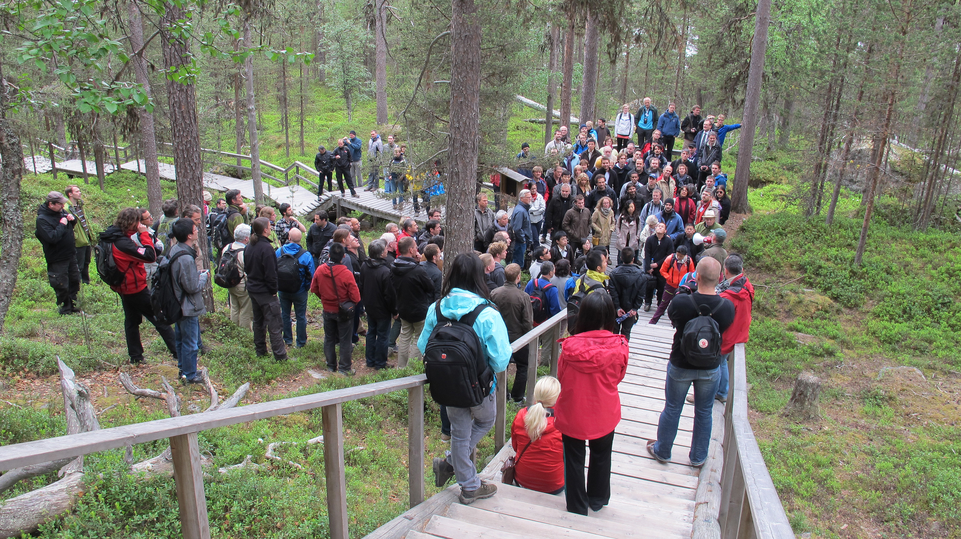 Skogsforskare på utflykt.