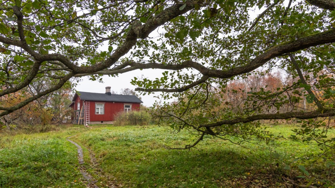 Hangö fågelstation. En röd stuga.