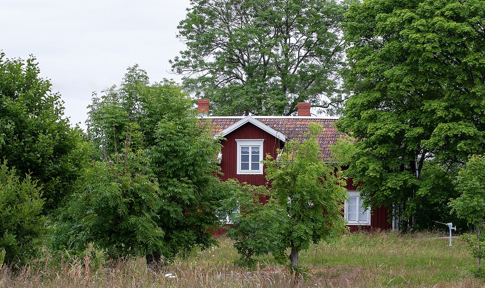 Punainen talo puiden ja pensaiden keskellä.