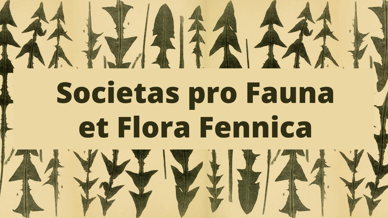 Teksti Societas pro Fauna et Flora Fennica ja taustalla taitavasti piirrettyjä voikukanlehti'.